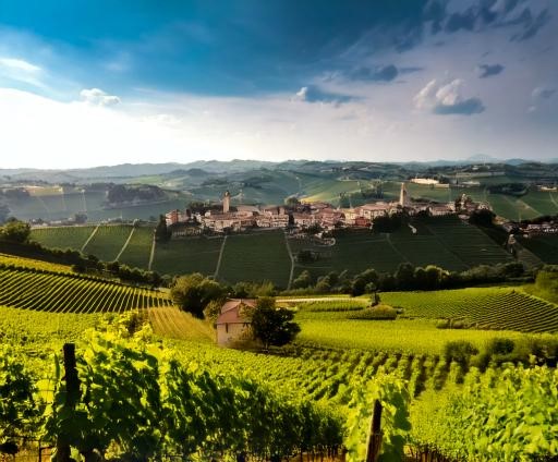 Piedmontese Red Wines A Journey with Barolo and Barbaresco